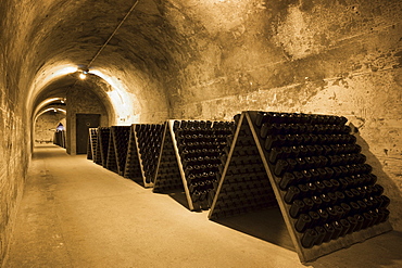 Methuselah bottles of champagne in frames for remuage (turning) in caves of Champagne Taittinger in Reims, Champagne-Ardenne, France, Europe