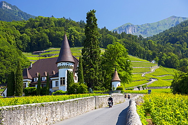 Wine estate, Chateau Maison Blanche, at Yvorne in the Chablais region, Vaud, Switzerland, Europe