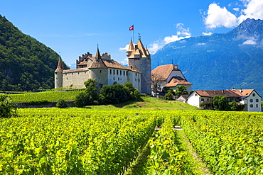 Chablais vines in front of the Chateau de Aigle and the village of Aigle in the Chablais region, Vaud, Switzerland, Europe