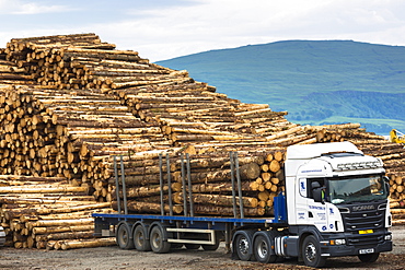 Logging and timber production and transportation at Craignure, Isle of Mull, Inner Hebrides, Scotland, United Kingdom, Europe