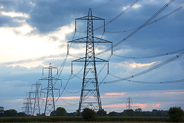 Electricity pylons and power cables a sculptural a blot on the landscape, Oxfordshire, England, United Kingdom, Europe