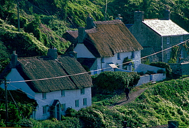 Cottages in the quaint village of Cadgwith in Cornwall, England