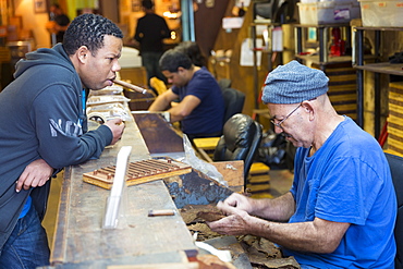 Shopper chats to roller at work on hand-rolled cigars of long leaf tobacco in cigar factory, Decatur Street, New Orleans, USA