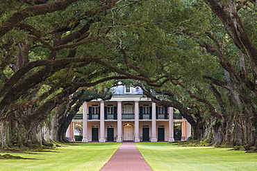 Oak Alley plantation antebellum mansion house and canopy of live oak trees along Mississippi River at Vacherie, Louisiana, USA