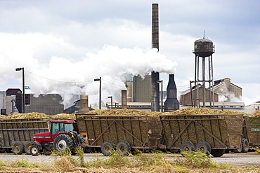 Sugarcane production factory St Mary Sugar Cooperative Sugar Mill processing raw sugar at Jeanerette, Louisiana, USA