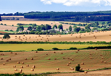 Rural England - meadows and trees around the village of Swinbrook in Oxfordshire part of the Cotswold area popular with tourists, United Kingdom