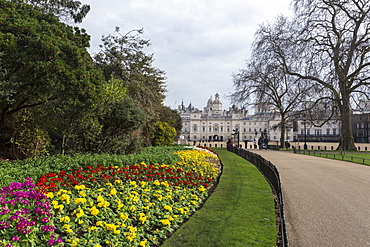 Spring flowers in St. James's Park, with view to Horse Guards, Whitehall, London, England, United Kingdom, Europe