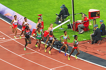 Competitors in the Women's 5000m final, Olympic Stadium, London 2012, Summer Olympic Games, London, England, United Kingdom, Europe