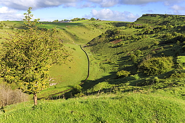 Cressbrook Dale National Nature Reserve in spring, elevated view, Peak District National Park, Derbyshire, England, United Kingdom, Europe