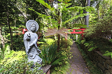 Oriental garden, Monte Palace Tropical Garden, one of Madeira's most famous, Monte, Funchal, Madeira, Atlantic, Portugal, Europe