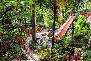 Oriental garden, Monte Palace Tropical Garden, one of Madeira's most famous, Monte, Funchal, Madeira, Atlantic, Portugal, Europe