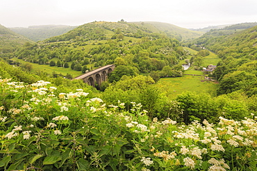 Monsal Trail crosses Monsal Dale on Monsal Head viaduct, limestone dale scenery in summer, Peak District, Derbyshire, England, United Kingdom, Europe