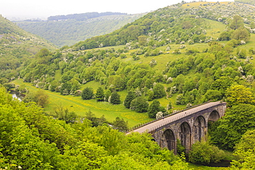 Monsal Trail viaduct, Monsal Head, Monsal Dale, former rail line, trees in full leaf in summer, Peak District, Derbyshire, England, United Kingdom, Europe