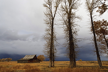 Autumn (fall) storm approaches, Mormon Row barn, Antelope Flats, Grand Teton National Park, Wyoming, United States of America, North America 