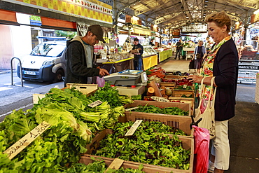 Shopping at Marche Provencal, morning market, Vieil Antibes, French Riviera, Cote d'Azur, Provence, France, Europe