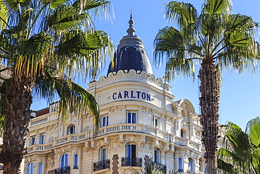 Carlton Hotel and palm trees, La Croisette, Cannes, French Riviera, Cote d'Azur, Alpes Maritimes, Provence, France, Europe