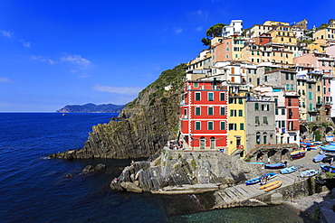 Tiny harbour and medieval houses in steep ravine, Riomaggiore, Cinque Terre, UNESCO World Heritage Site, Ligurian Riviera, Liguria, Italy, Europe