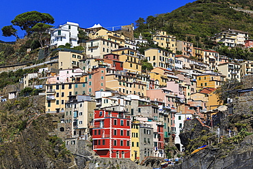 Medieval houses in steep ravine, Riomaggiore, Cinque Terre, UNESCO World Heritage Site, Ligurian Riviera, Liguria, Italy, Europe