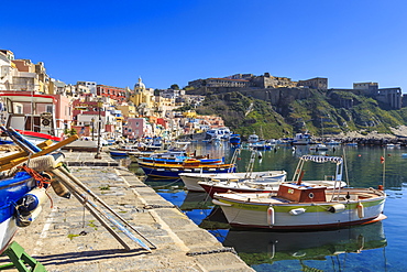 Marina Corricella, pretty fishing village, colourful fishermen's houses, boats and nets, Procida Island, Bay of Naples, Campania, Italy, Europe