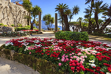 Stunning Gardens of Villa Rufolo in spring, Ravello, Amalfi Coast, UNESCO World Heritage Site, Campania, Italy, Europe