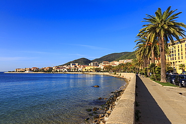 Saint Francois beach promenade with palm trees, morning light, Ajaccio, Island of Corsica, Mediterranean, France, Mediterranean, Europe