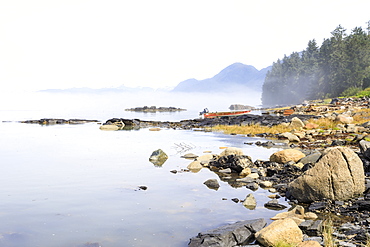 Mist clears from beautiful Petroglyph Beach, State Historic Park, archaeological site, Wrangell, pioneer port, Alaska, United States of America, North America