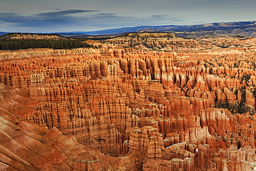 Silent City hoodoos on a cloudy winter afternoon, Bryce Amphitheatre, Inspiration Point, Bryce Canyon National Park, Utah, United States of America, North America