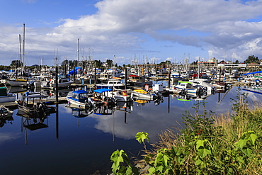 Boat harbour with beautiful reflections and town of Sitka, Baranof Island, Northern Panhandle, Southeast Alaska, United States of America, North America