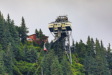 Mount Roberts Tramway cable car approaches top station, surrounded by forest, Juneau, Alaska, United States of America, North America