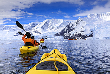 Kayaking amongst spectacular icebergs, mountains and glaciers, sunny Neko Harbour, Anvord Bay, Antarctic Peninsula, Antarctica, Polar Regions