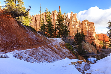 Icy Peekaboo Loop Trail with hoodoos, trees and snow in the early morning, Bryce Canyon National Park, Utah, United States of America, North America