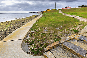 Thrift (Armeria maritima), 1914 Battle of the Falklands Memorial, Stanley waterfront, Port Stanley, Falkland Islands, South America