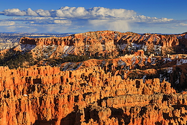 Late afternoon sun lights many hoodoos in winter, Rim Trail near Sunset Point, Bryce Canyon National Park, Utah, United States of America, North America