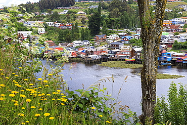 Palafitos, colourful stilt houses on water's edge, elevated view, unique to Chiloe, Castro, Isla Grande de Chiloe, Chile, South America