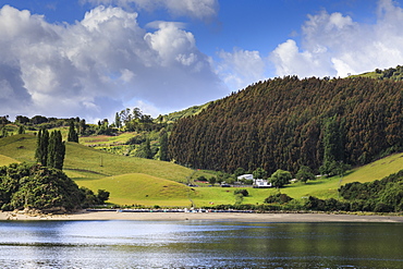 Lush rolling green hills and dense forest, scenic rural landscape, Castro inlet, Isla Grande de Chiloe, Lake District, Chile, South America