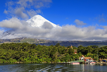 Petrohue, snow-capped, conical Osorno volcano, Lake Todos Los Santos, Vicente Perez Rosales National Park, Lakes District, Chile, South America