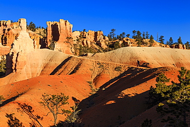 Hiker on a horse trail in winter with hoodoos and rocks glowing in early morning light, Bryce Canyon National Park, Utah, United States of America, North America