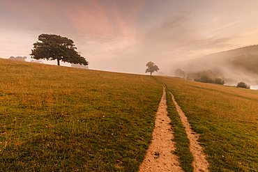 Early Autumn (Fall) mist, dawn, Chatsworth Park, Peak District National Park, Chesterfield, Derbyshire, England, United Kingdom, Europe