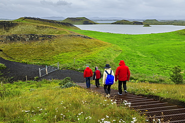 Tourists hiking in rain to the Skutustadagigar pseudo craters, wild flowers, Lake Myvatn, Akureyri, Iceland, Europe