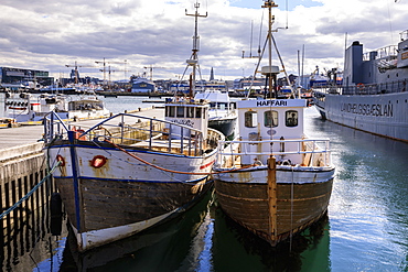 Fishing boats in Reykjavik Old Harbour in summer, distant Hallgrimskirkja, Central Reykjavik, Iceland, Polar Regions