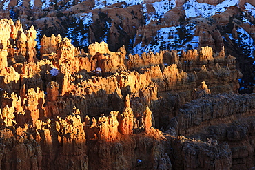 Hoodoos lit by late afternoon sun with snowy backdrop, from Rim Trail near Sunset Point, Bryce Canyon National Park, Utah, United States of America, North America