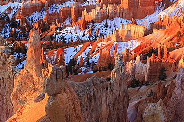 Hoodoos and snow lit by strong dawn light, Queen's Garden Trail at Sunrise Point, Bryce Canyon National Park, Utah, United States of America, North America