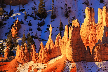 Hoodoos and snow lit by strong dawn light in winter, Queen's Garden Trail at Sunrise Point, Bryce Canyon National Park, Utah, United States of America, North America