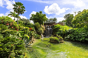 Jardin Botanique de Deshaies, botanic garden, Death In Paradise location, Deshaies, Basse Terre, Guadeloupe, Leeward Islands, West Indies, Caribbean, Central America