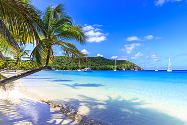 Stunning Saltwhistle Bay, yachts, white sand beach, blue sea, overhanging palm trees, Mayreau, Grenadines, St. Vincent and The Grenadines, Windward Islands, West Indies, Caribbean, Central America