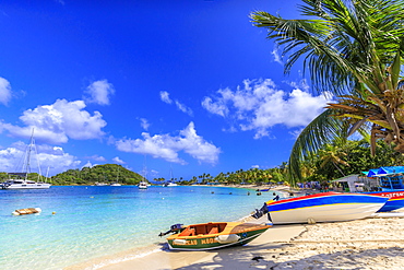 Colourful boat, white sand beach, turquoise sea, palm trees, yachts, Saltwhistle Bay, Mayreau, Grenadines, St. Vincent and The Grenadines, Windward Islands, West Indies, Caribbean, Central America