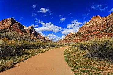 Pa'rus Trail winds through Zion Canyon in winter, Zion National Park, Utah, United States of America, North America