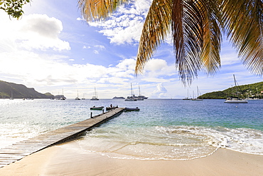 Quiet Caribbean, sea shore palm tree, boat jetty, beautiful Port Elizabeth, Admiralty Bay, Bequia, The Grenadines, St. Vincent and The Grenadines, Windward Islands, West Indies, Caribbean, Central America