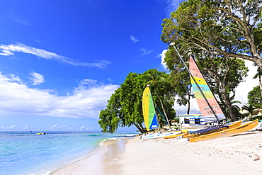 Paynes Bay, small colourful sail boats pulled up on fine sand beach, beautiful West Coast, Barbados, Windward Islands, West Indies, Caribbean, Central America