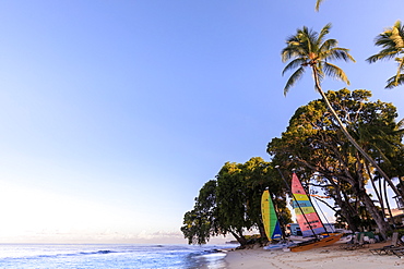 Paynes Bay, colourful sail boats on pink sand beach, sunrise, palm trees, beautiful West Coast, Barbados, Windward Islands, West Indies, Caribbean, Central America